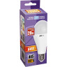 Лампа JAZZWAY LED 20вт E27 холодный белый груша 5009462A