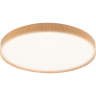 Светильник JAZZWAY PPB PINE 72w DIM 3000-6500K IP20 D485x75 5052680