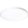 Светильник светодиодный декоративный JAZZWAY 5060814 PPB OPAL 30Вт 4000К WH d260X55 IP20 настенно-потолочный бытовой
